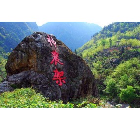 湖北远昇生态环境技术有限公司 | 神农架林区“十三五”综合交通运输发展规划