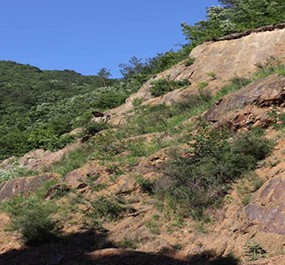 湖北远昇生态环境技术有限公司 | 神农架林区南河流域生态示范项目（一期）